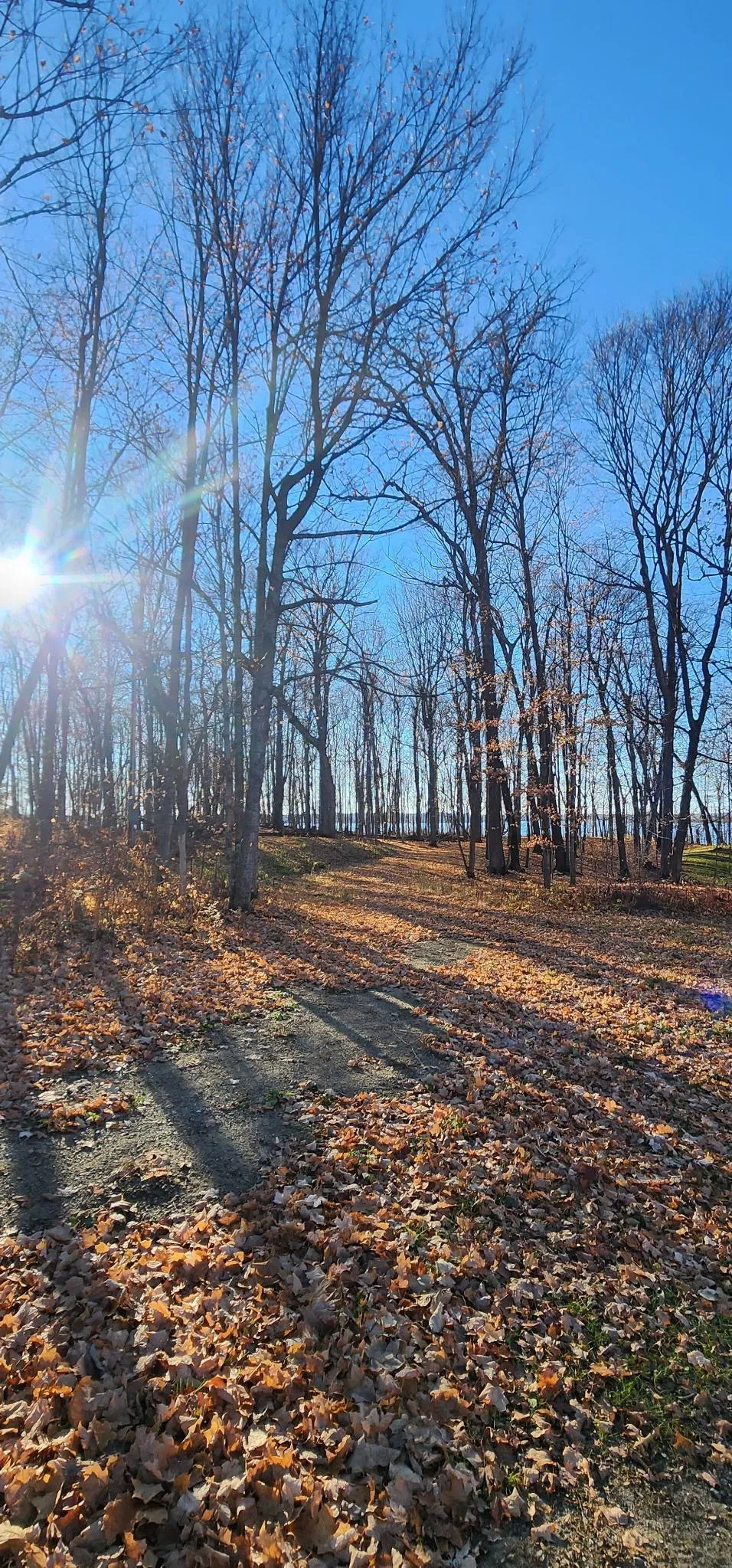 XXXX Diamond Trail NW Walker, MN 56484