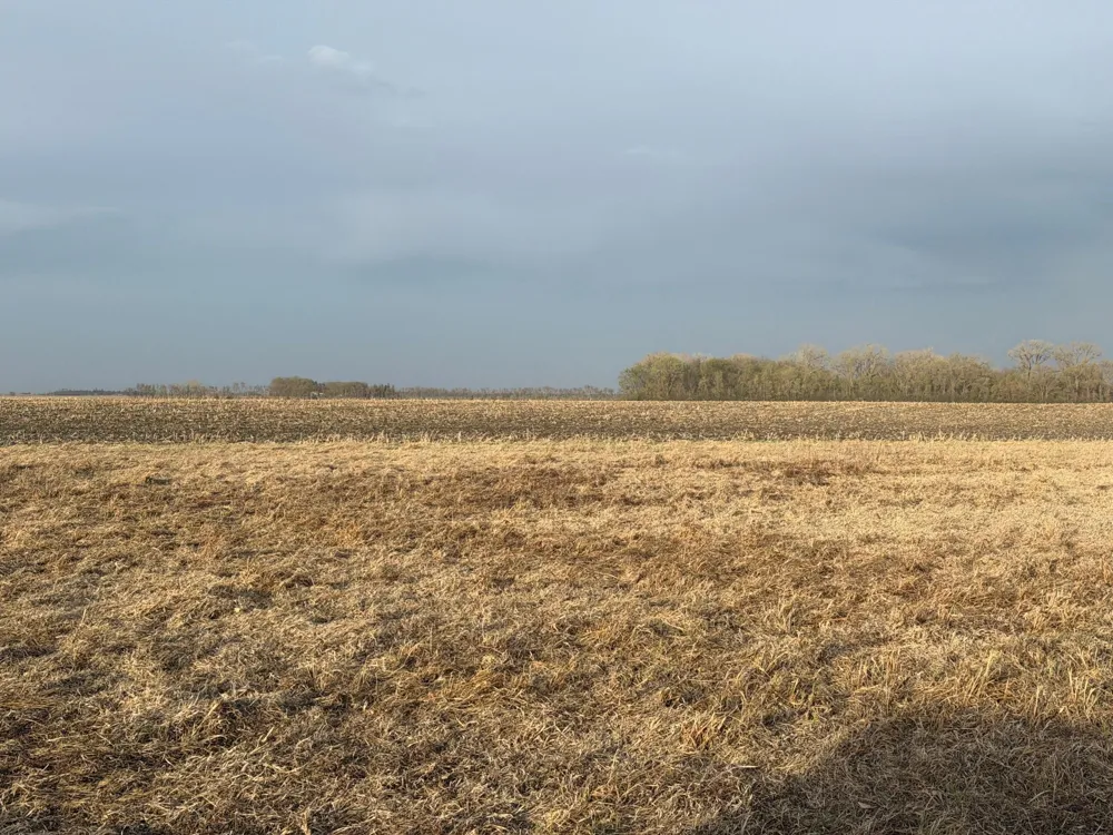 3544 250th Street Dawson, MN 56232