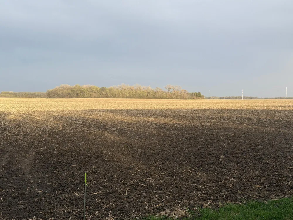 3544 250th Street Dawson, MN 56232