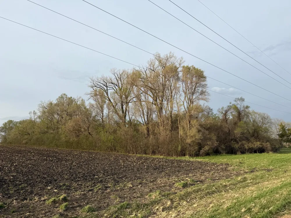 3544 250th Street Dawson, MN 56232