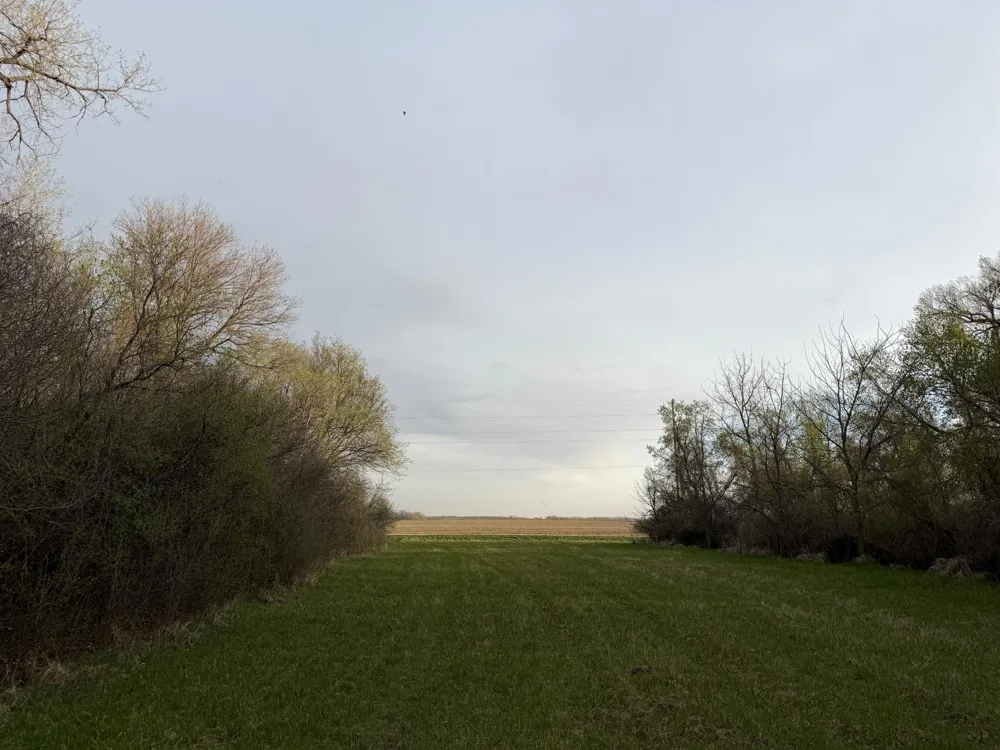 3544 250th Street Dawson, MN 56232