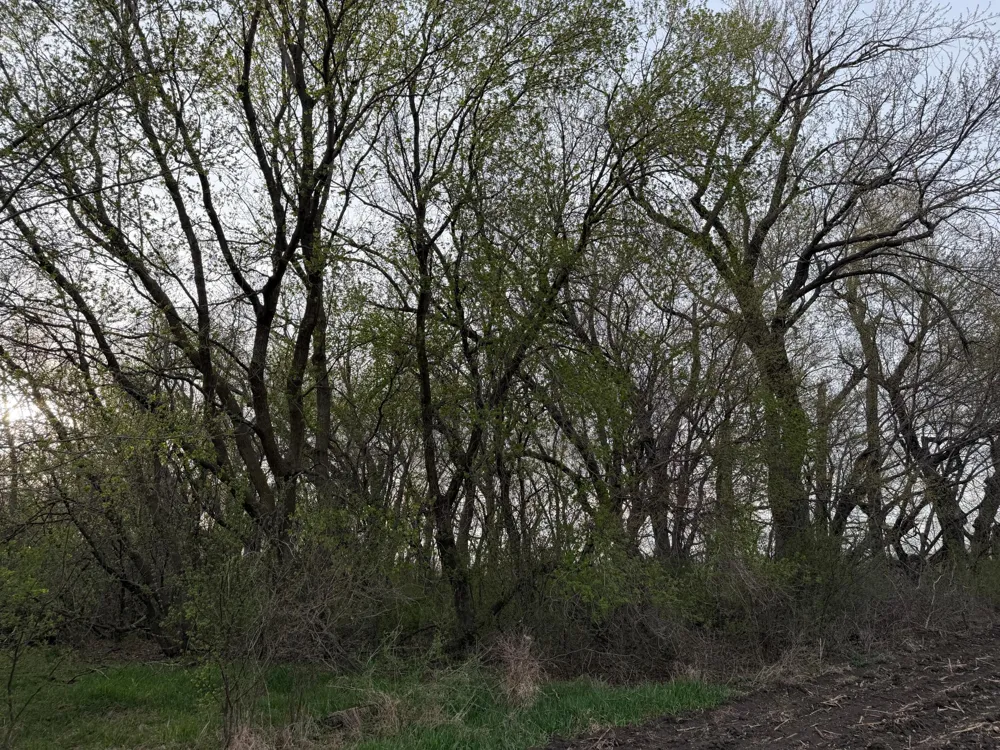 3544 250th Street Dawson, MN 56232