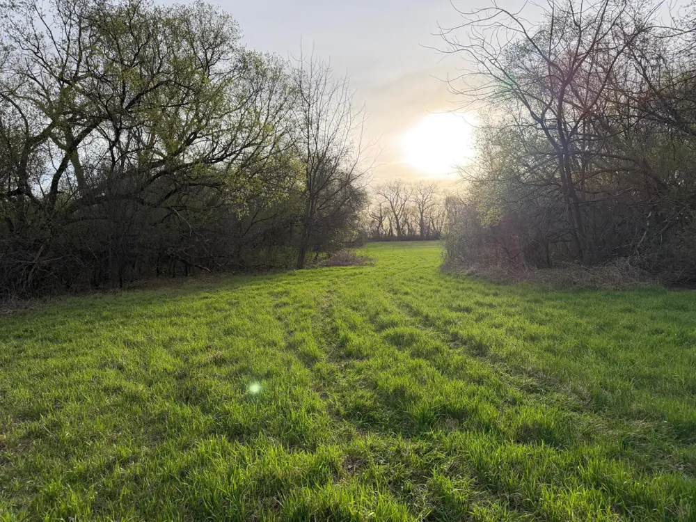 3544 250th Street Dawson, MN 56232