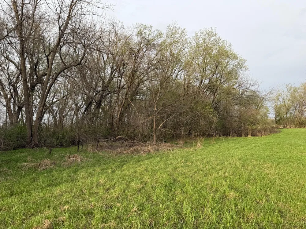 3544 250th Street Dawson, MN 56232