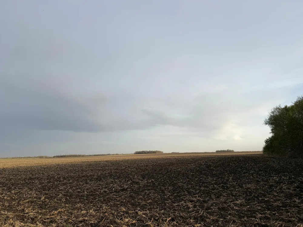3553 250th Street Dawson, MN 56232