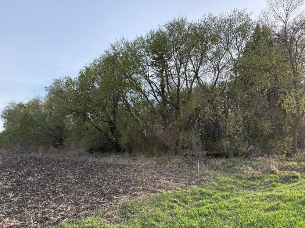 3553 250th Street Dawson, MN 56232