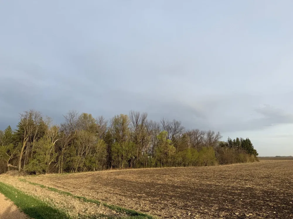 3553 250th Street Dawson, MN 56232
