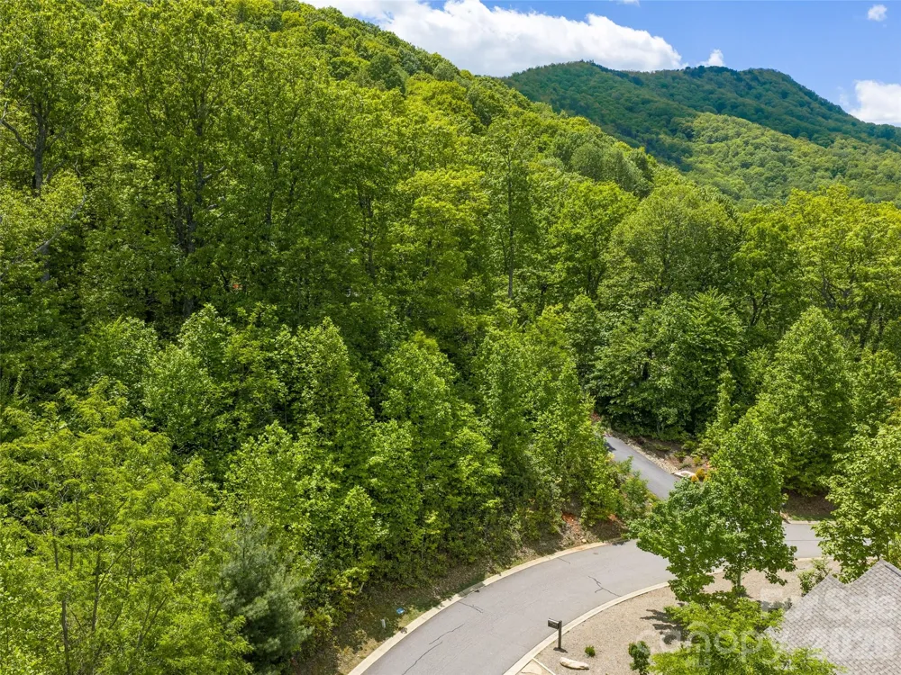 9 Crockett Ridge Road Black Mountain, NC 28711