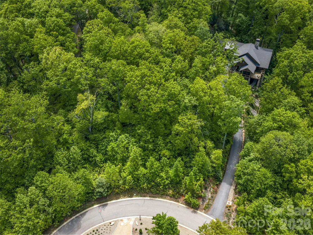 9 Crockett Ridge Road Black Mountain, NC 28711