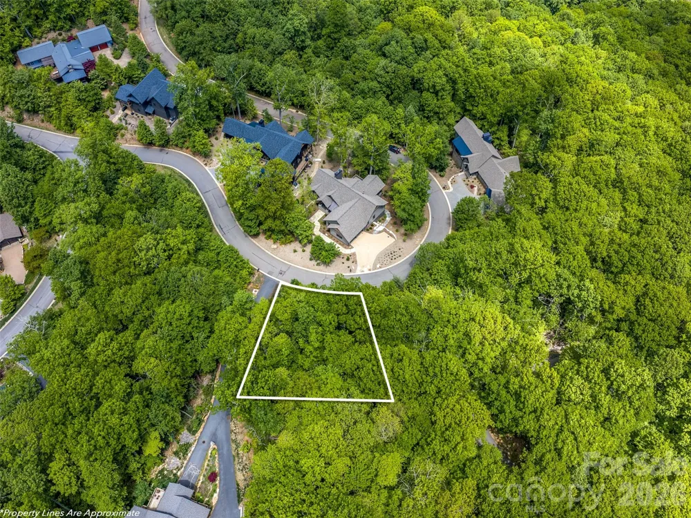 9 Crockett Ridge Road Black Mountain, NC 28711