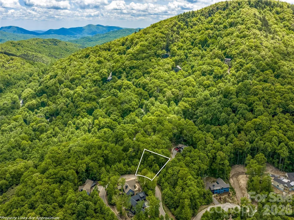 9 Crockett Ridge Road Black Mountain, NC 28711