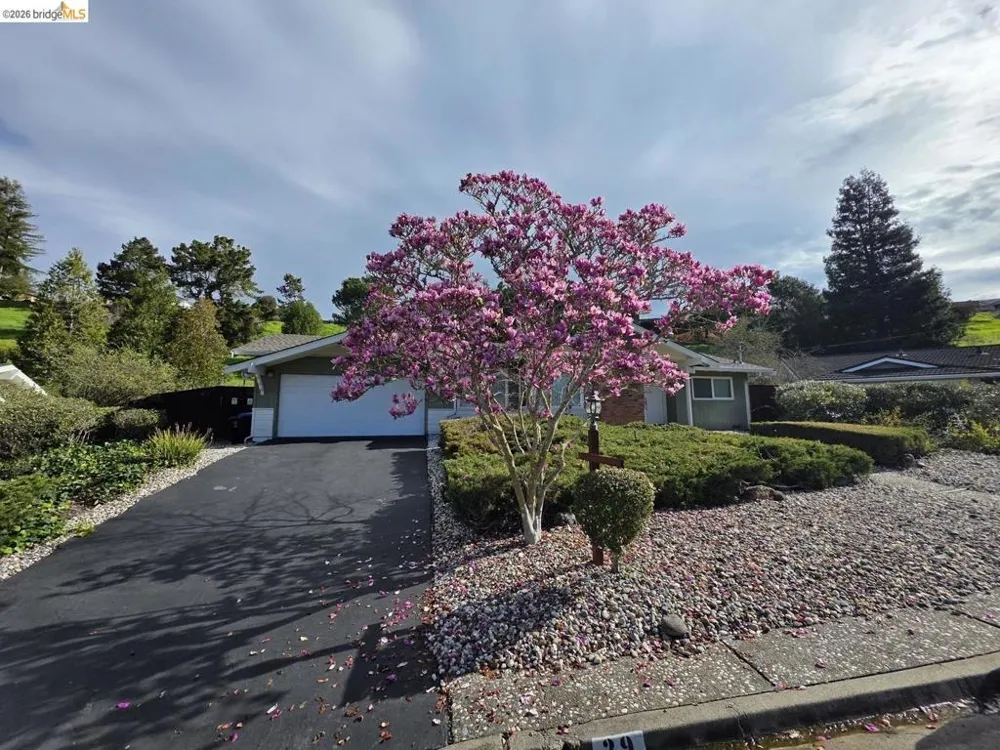 29 Thorndale PL Moraga, CA 94556