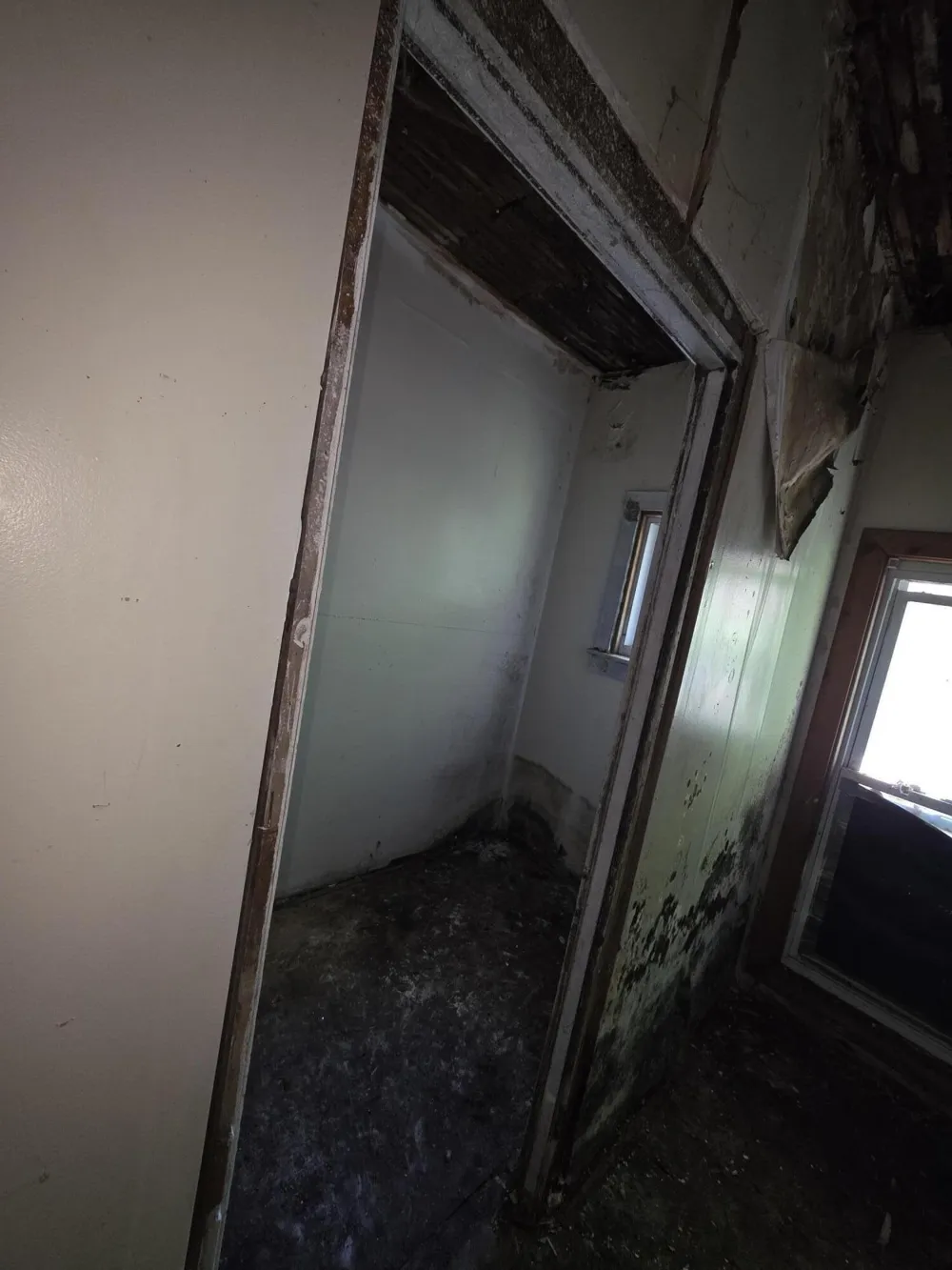 206 S Berrien Street Albion City, MI 49224