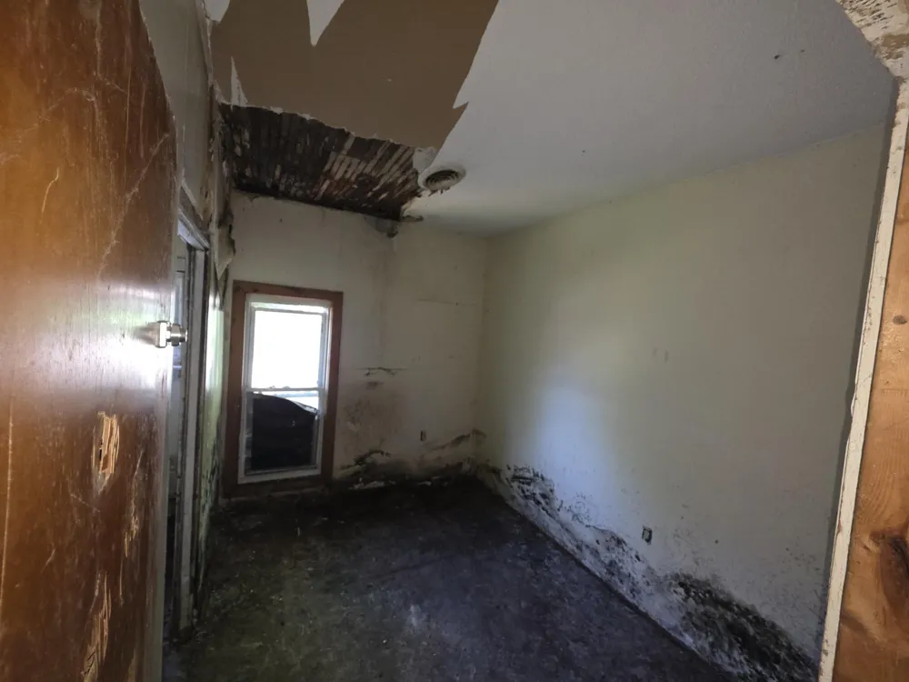 206 S Berrien Street Albion City, MI 49224