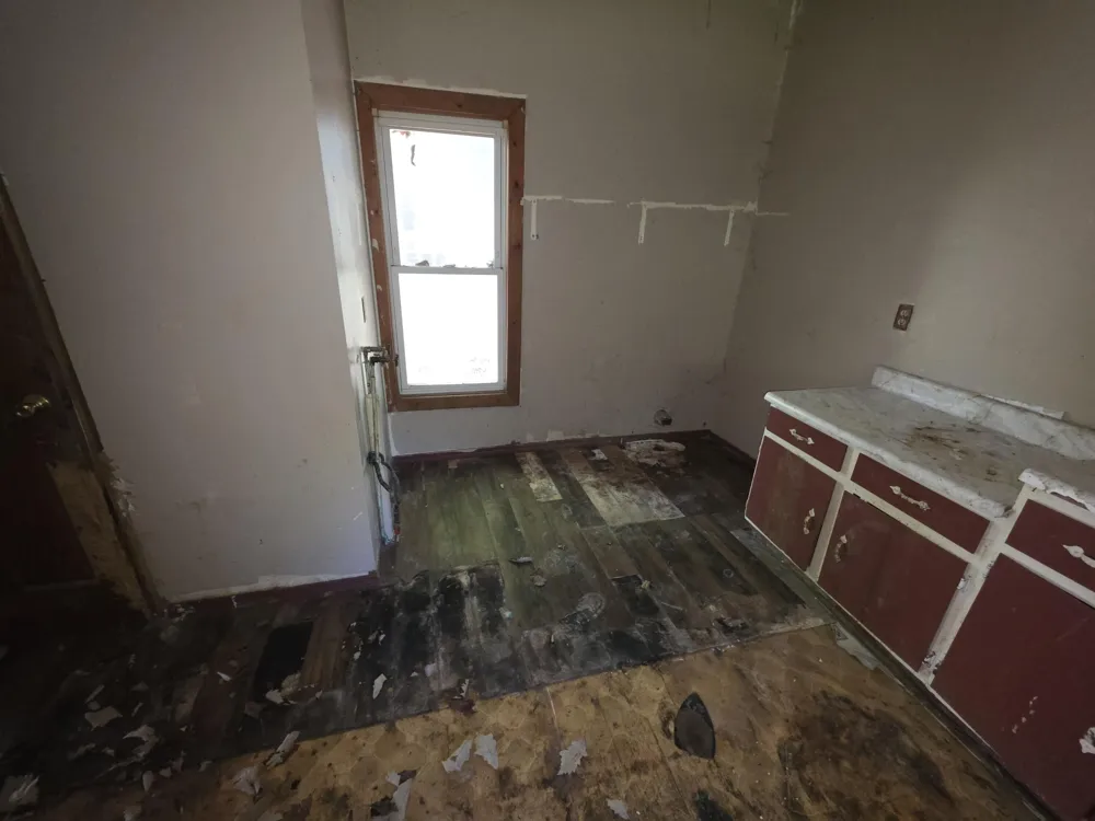 206 S Berrien Street Albion City, MI 49224