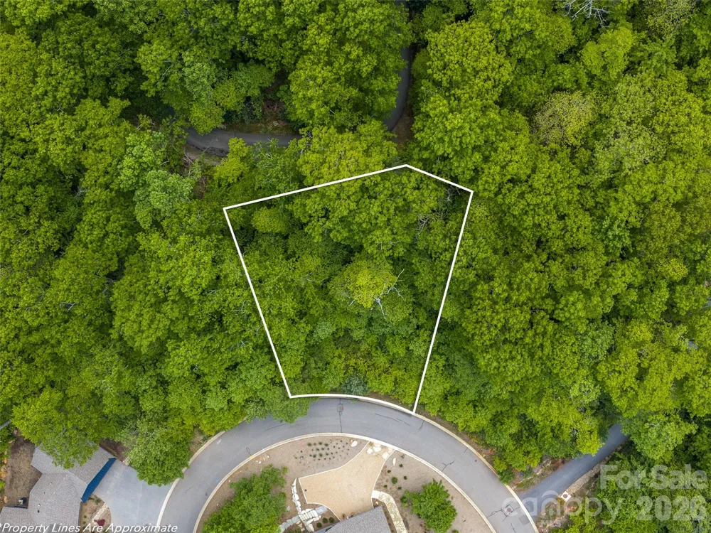 11 Crockett Ridge Road Black Mountain, NC 28711