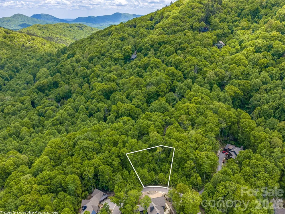 11 Crockett Ridge Road Black Mountain, NC 28711