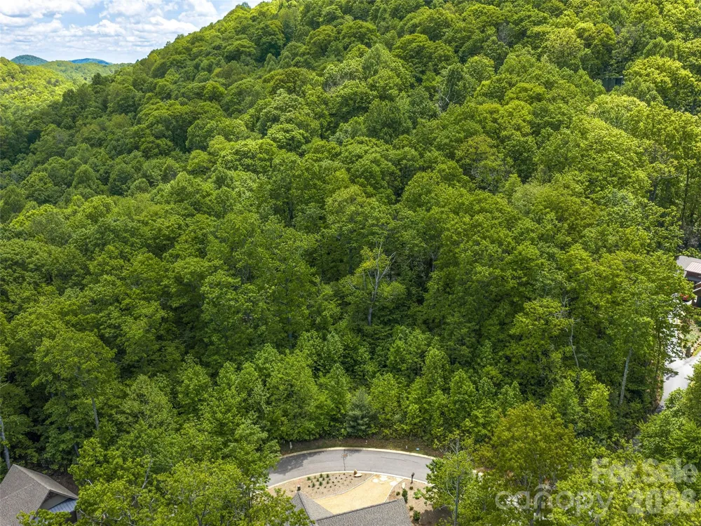 11 Crockett Ridge Road Black Mountain, NC 28711