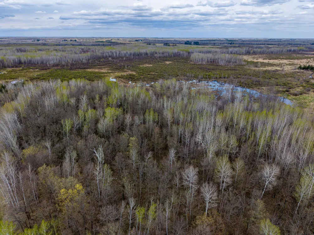 XXX Brown Rd Kettle River, MN 55757