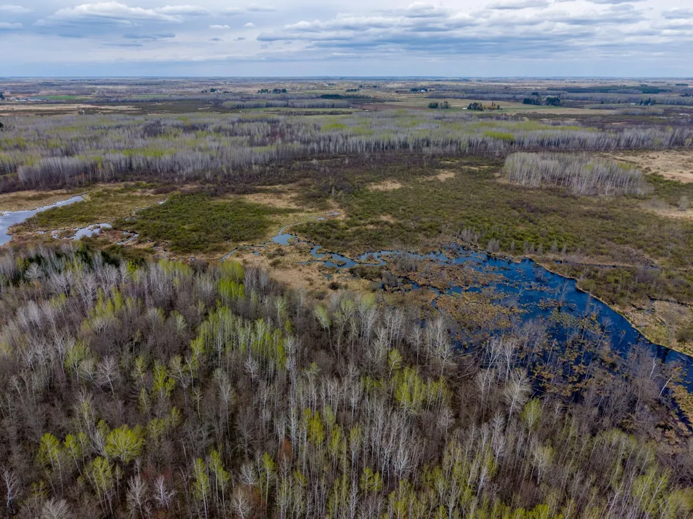 XXX Brown Rd Kettle River, MN 55757