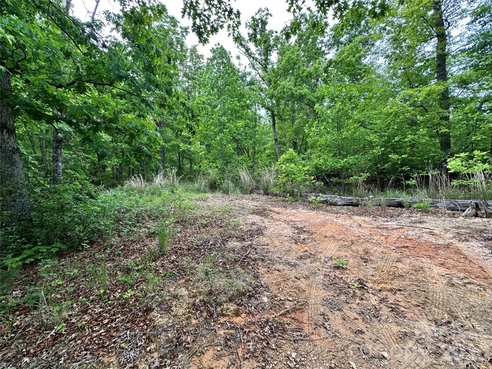 99999 Bird Creek Estates Road Black Mountain, NC 28711
