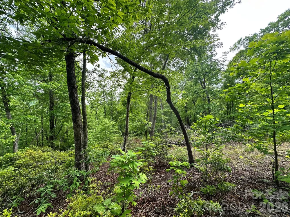99999 Bird Creek Estates Road Black Mountain, NC 28711