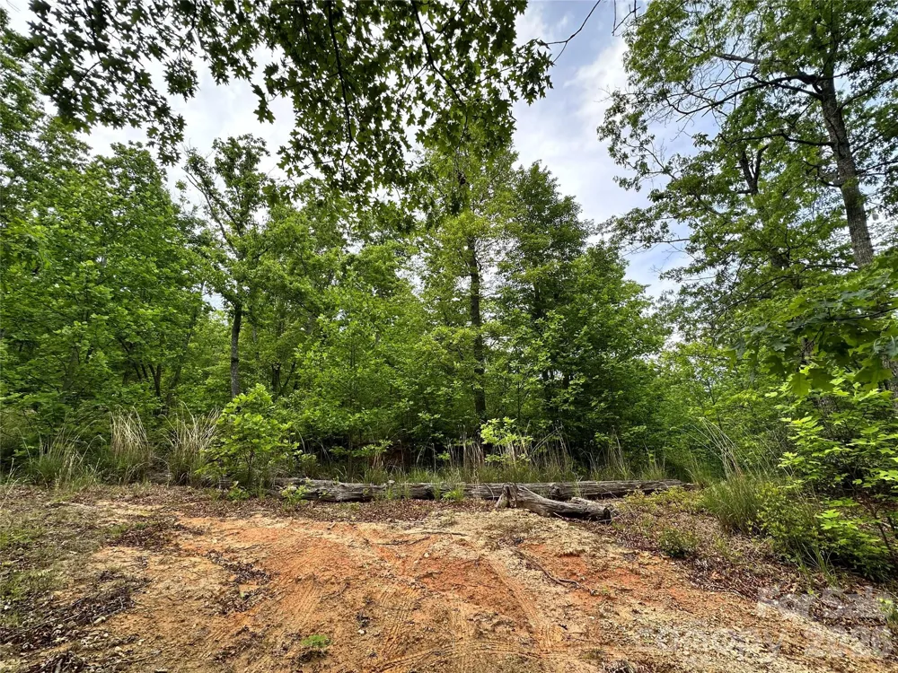 99999 Bird Creek Estates Road Black Mountain, NC 28711