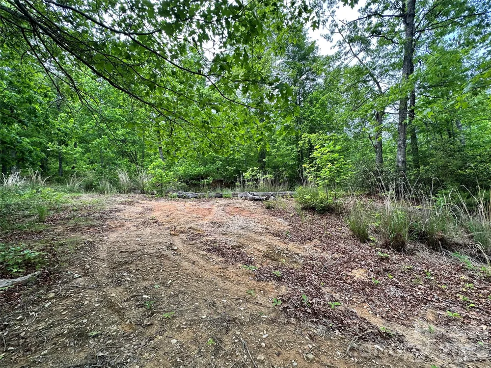 99999 Bird Creek Estates Road Black Mountain, NC 28711