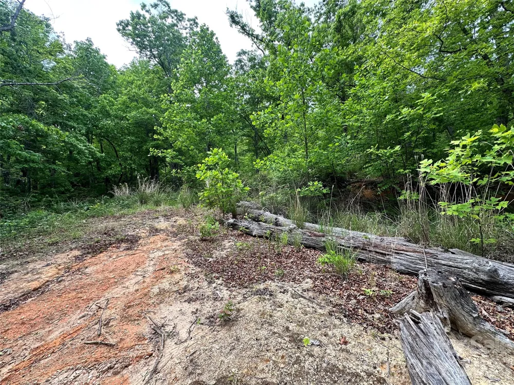 99999 Bird Creek Estates Road Black Mountain, NC 28711