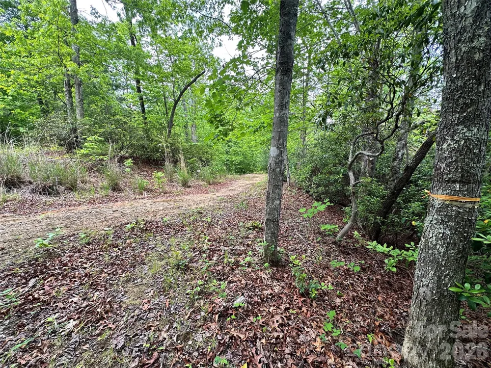 99999 Bird Creek Estates Road Black Mountain, NC 28711