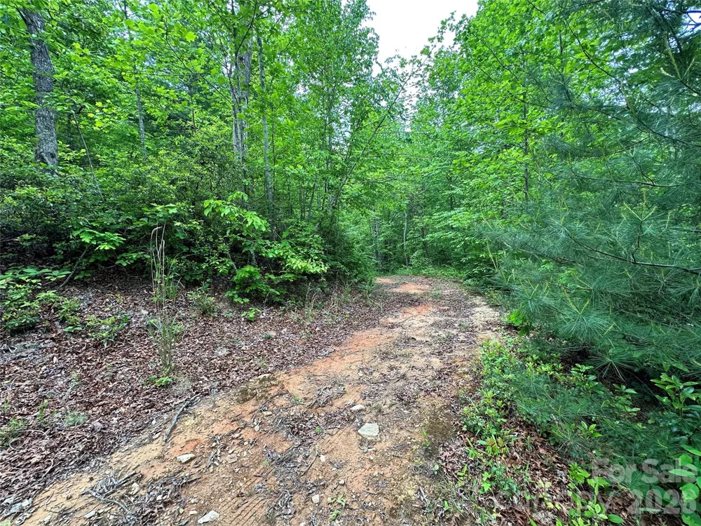 99999 Bird Creek Estates Road Black Mountain, NC 28711