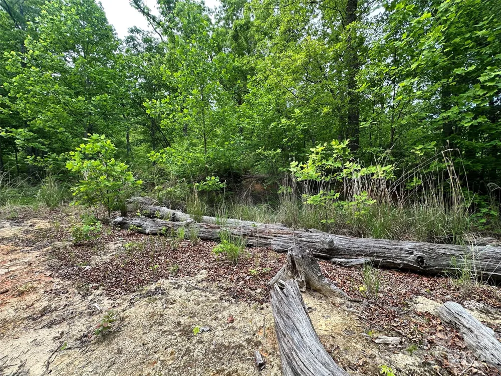 99999 Bird Creek Estates Road Black Mountain, NC 28711