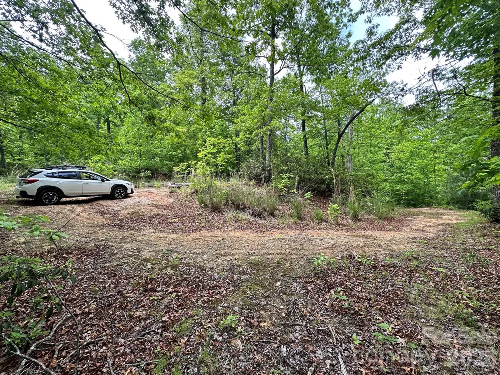 99999 Bird Creek Estates Road Black Mountain, NC 28711