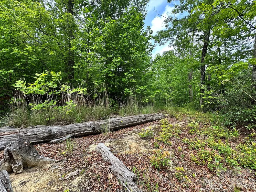 99999 Bird Creek Estates Road Black Mountain, NC 28711