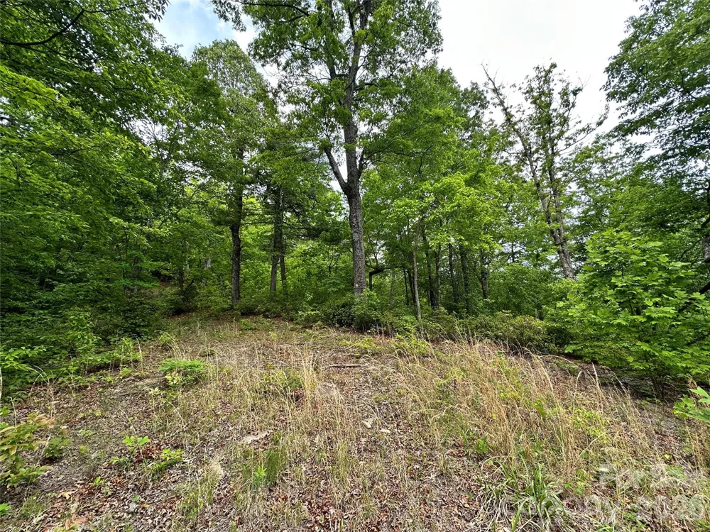 99999 Bird Creek Estates Road Black Mountain, NC 28711