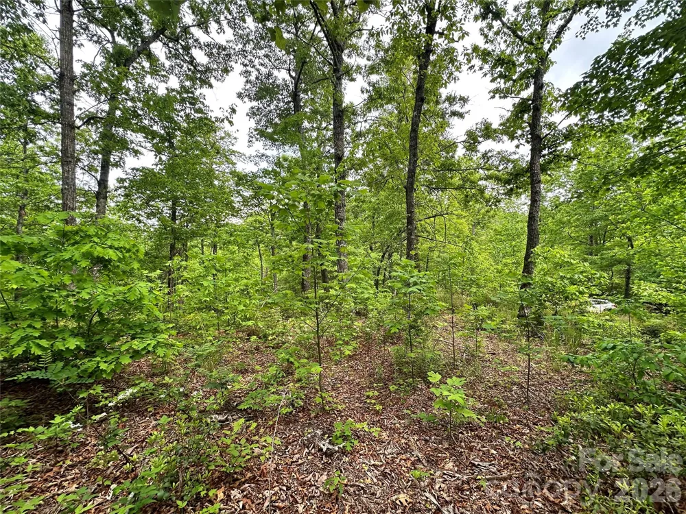 99999 Bird Creek Estates Road Black Mountain, NC 28711