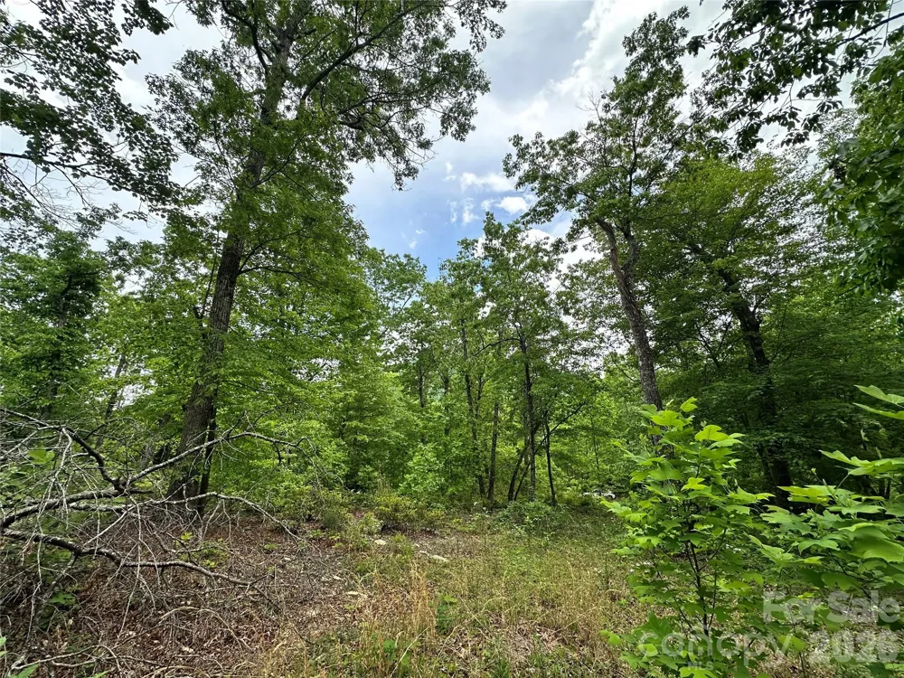 99999 Bird Creek Estates Road Black Mountain, NC 28711