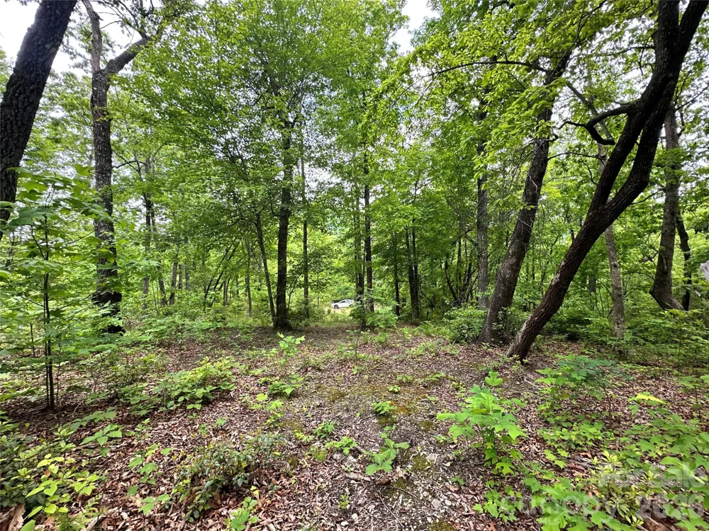 99999 Bird Creek Estates Road Black Mountain, NC 28711