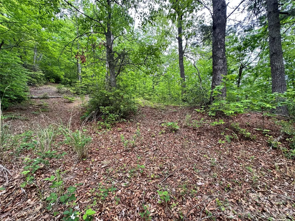 99999 Bird Creek Estates Road Black Mountain, NC 28711