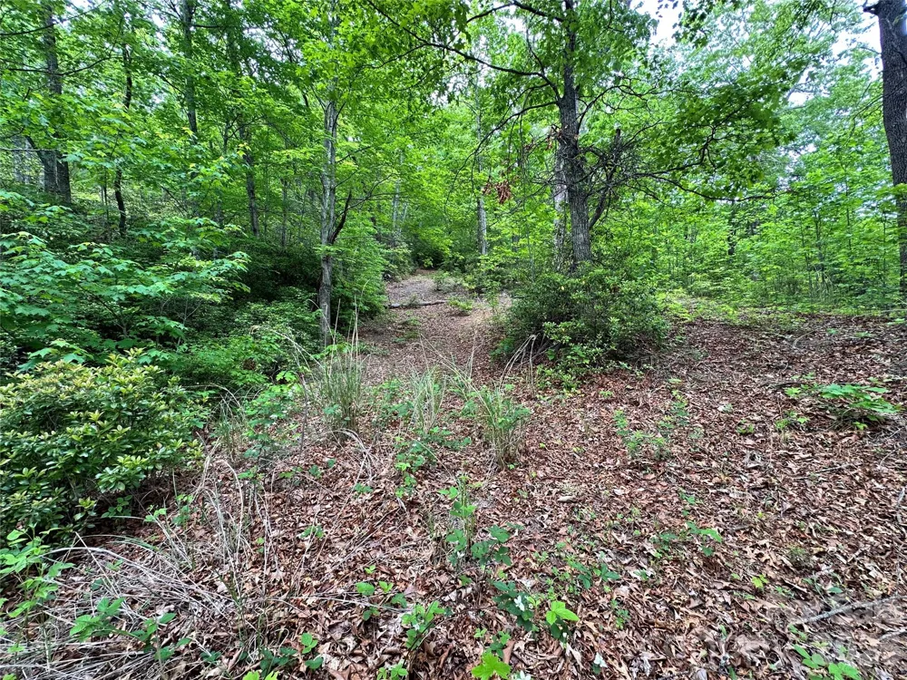 99999 Bird Creek Estates Road Black Mountain, NC 28711