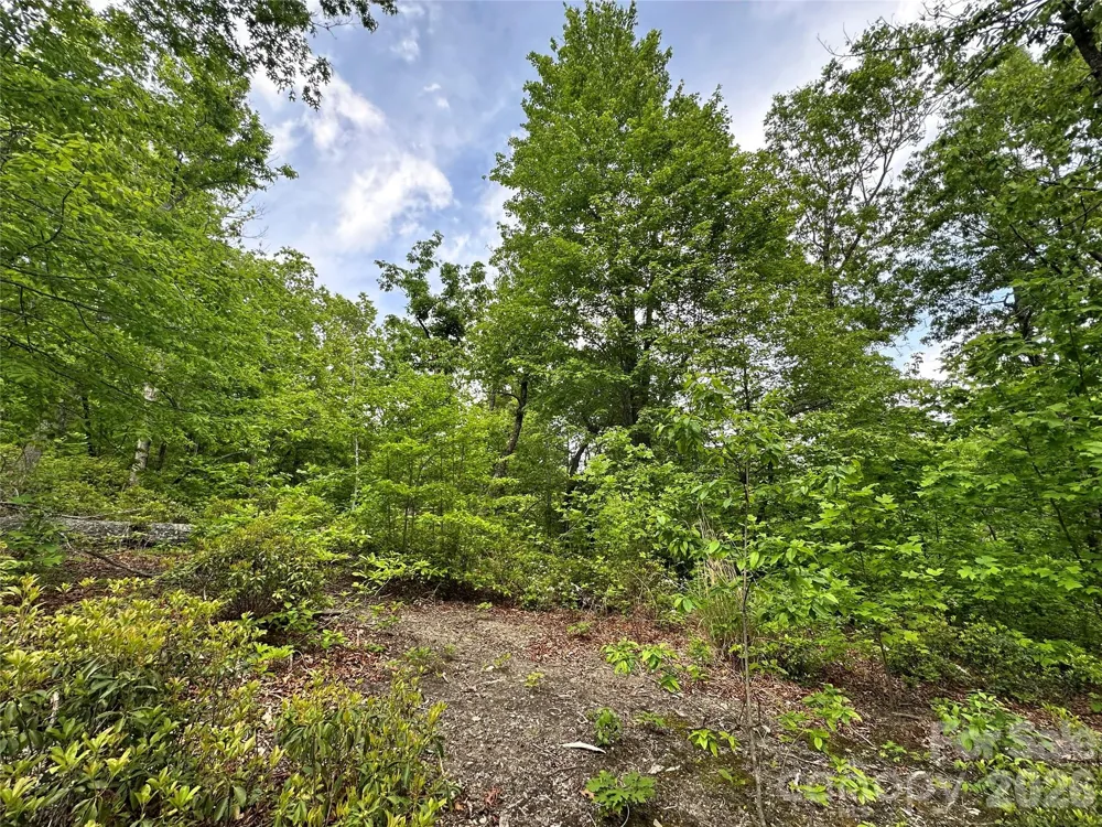 99999 Bird Creek Estates Road Black Mountain, NC 28711