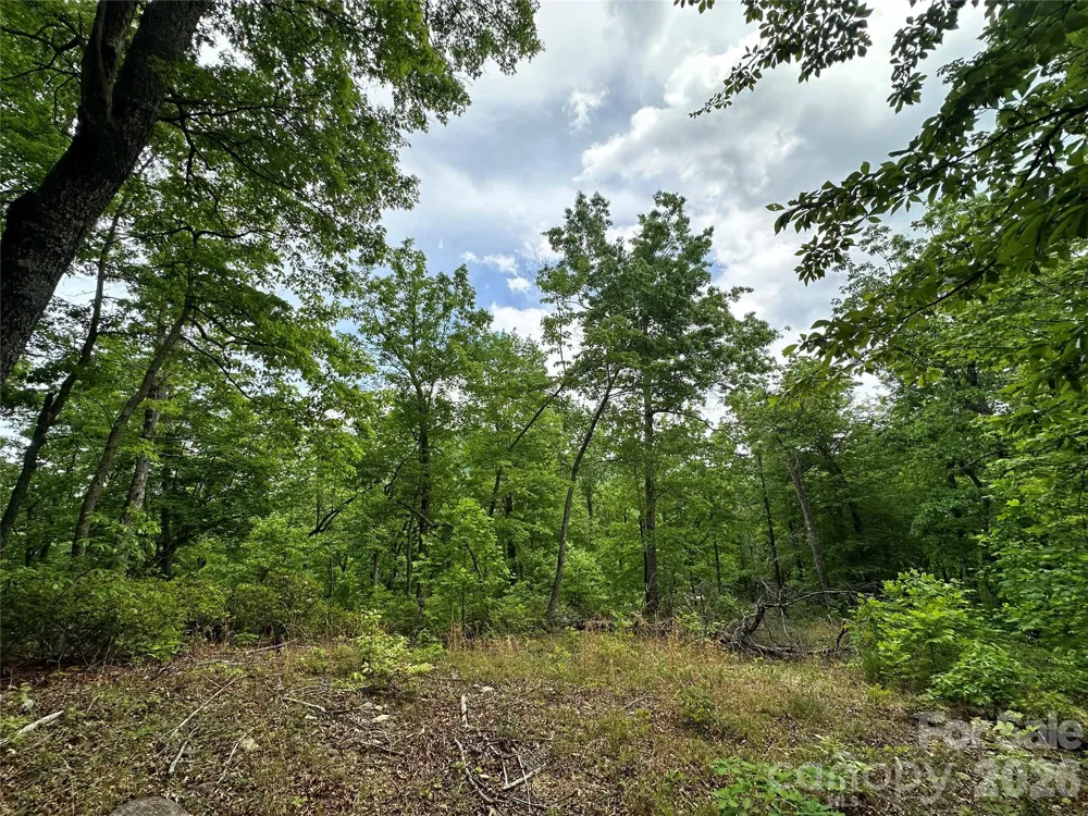 99999 Bird Creek Estates Road Black Mountain, NC 28711