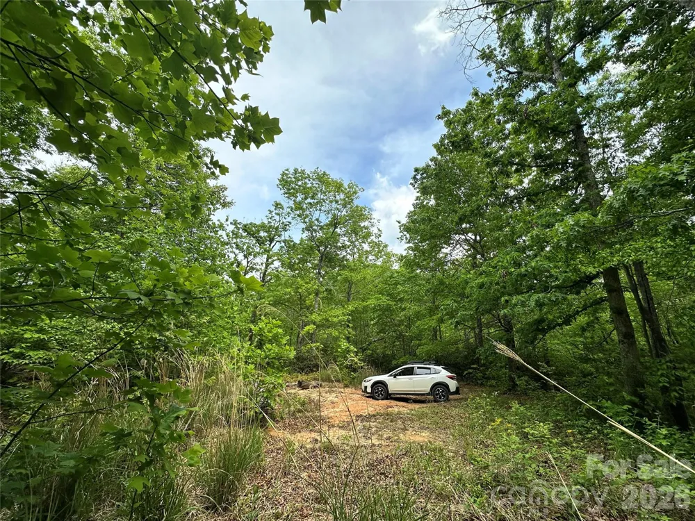 99999 Bird Creek Estates Road Black Mountain, NC 28711