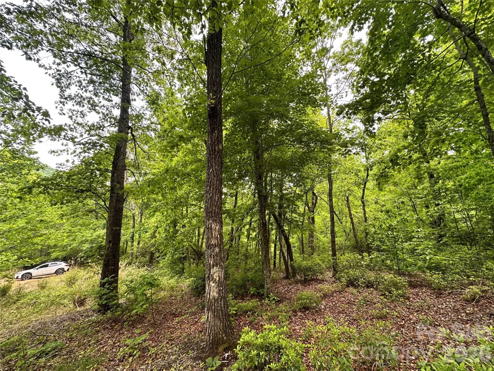99999 Bird Creek Estates Road Black Mountain, NC 28711