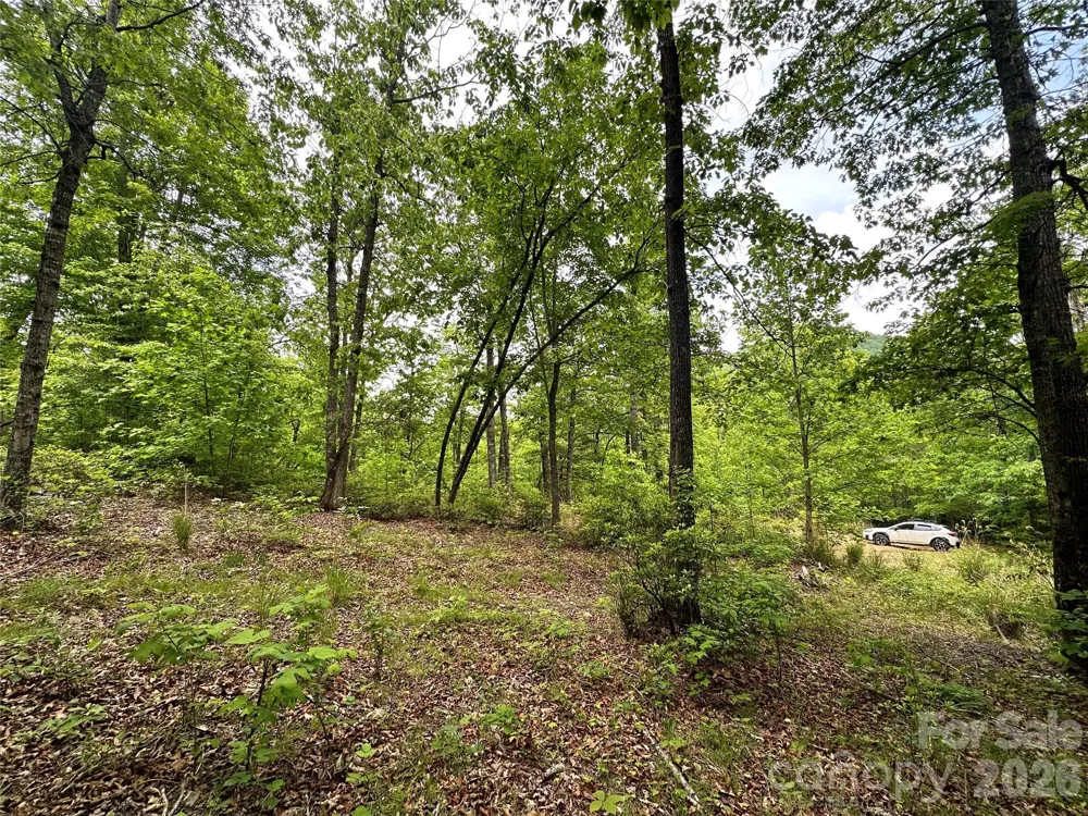 99999 Bird Creek Estates Road Black Mountain, NC 28711