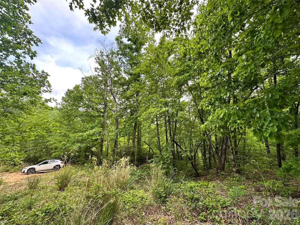 99999 Bird Creek Estates Road Black Mountain, NC 28711