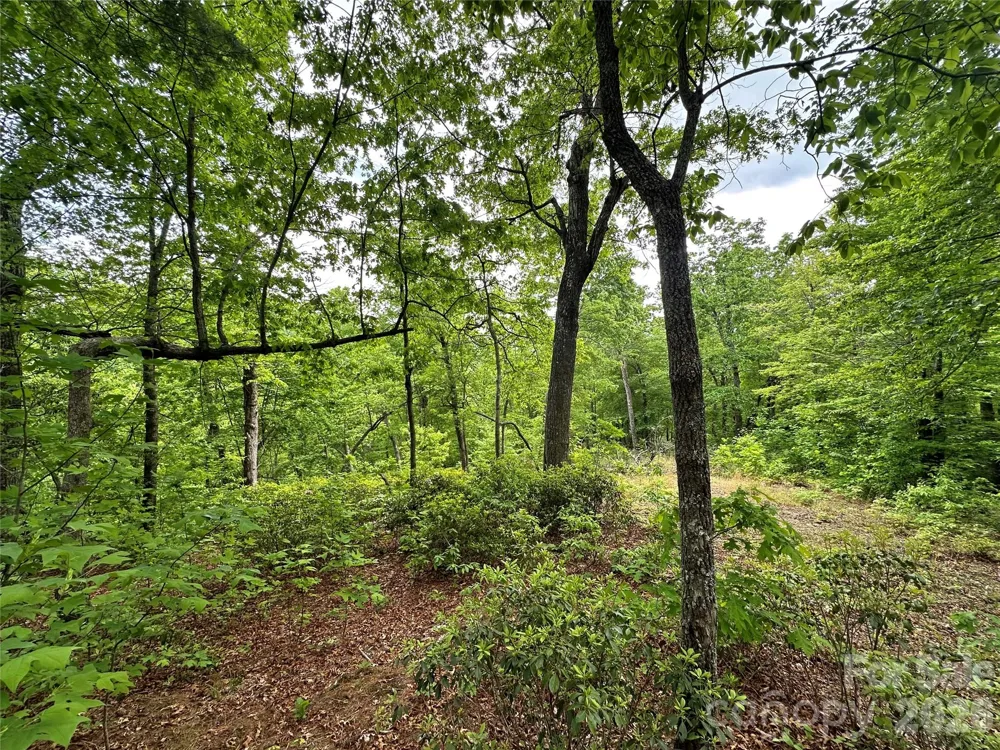 99999 Bird Creek Estates Road Black Mountain, NC 28711