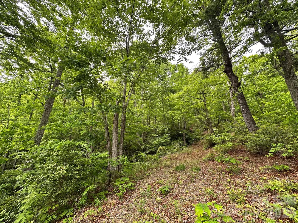 99999 Bird Creek Estates Road Black Mountain, NC 28711