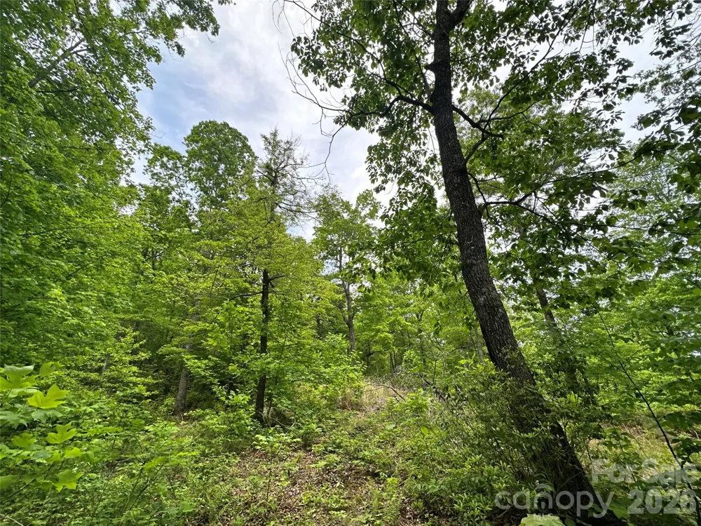 99999 Bird Creek Estates Road Black Mountain, NC 28711