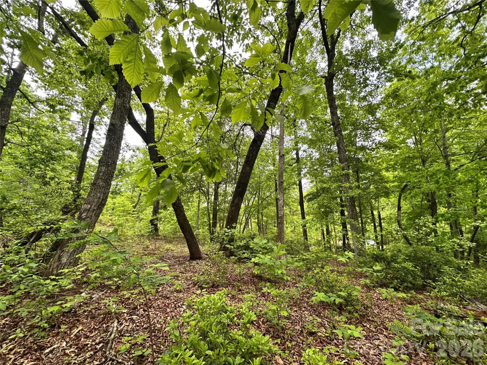 99999 Bird Creek Estates Road Black Mountain, NC 28711